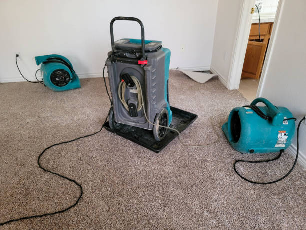 Best Local water damage restoration  in Cedar Crest, MA