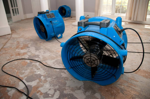  Cedar Crest, MA Water damage restoration Pros