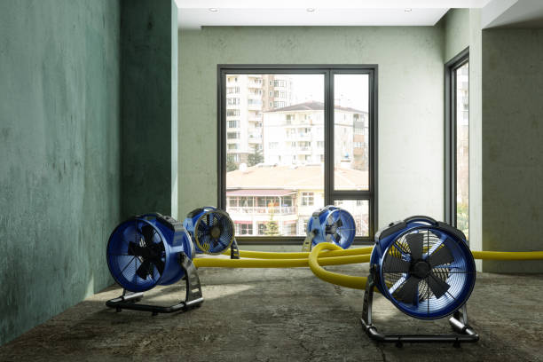 Best Professional water damage repair  in Cedar Crest, MA